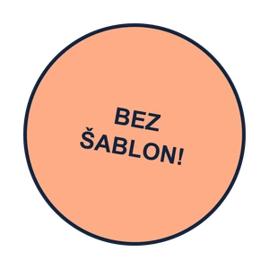 Bez šablon — každý web stavíme na míru
